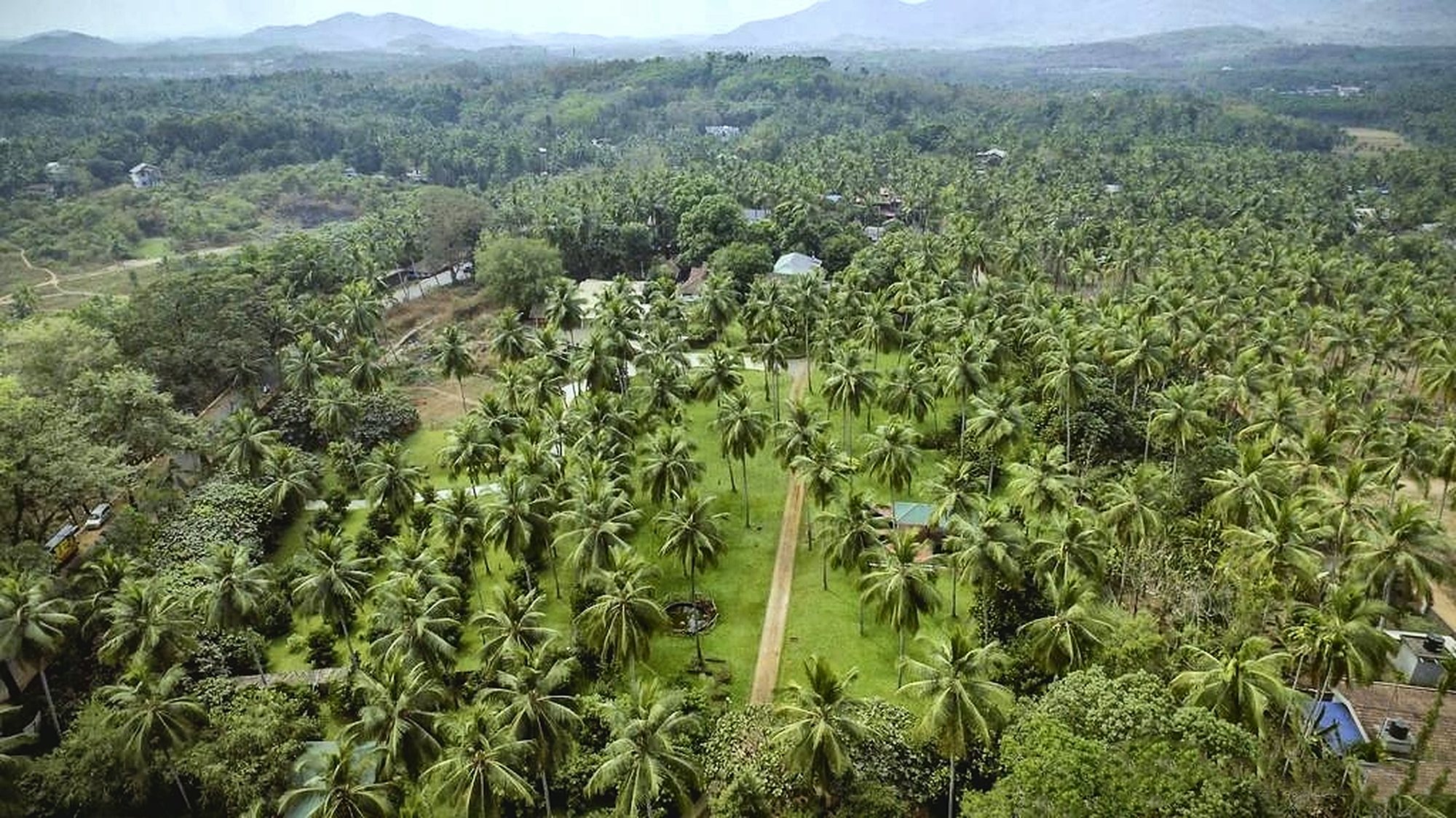 Coconut groves and the hills around Nilambur, seen from above