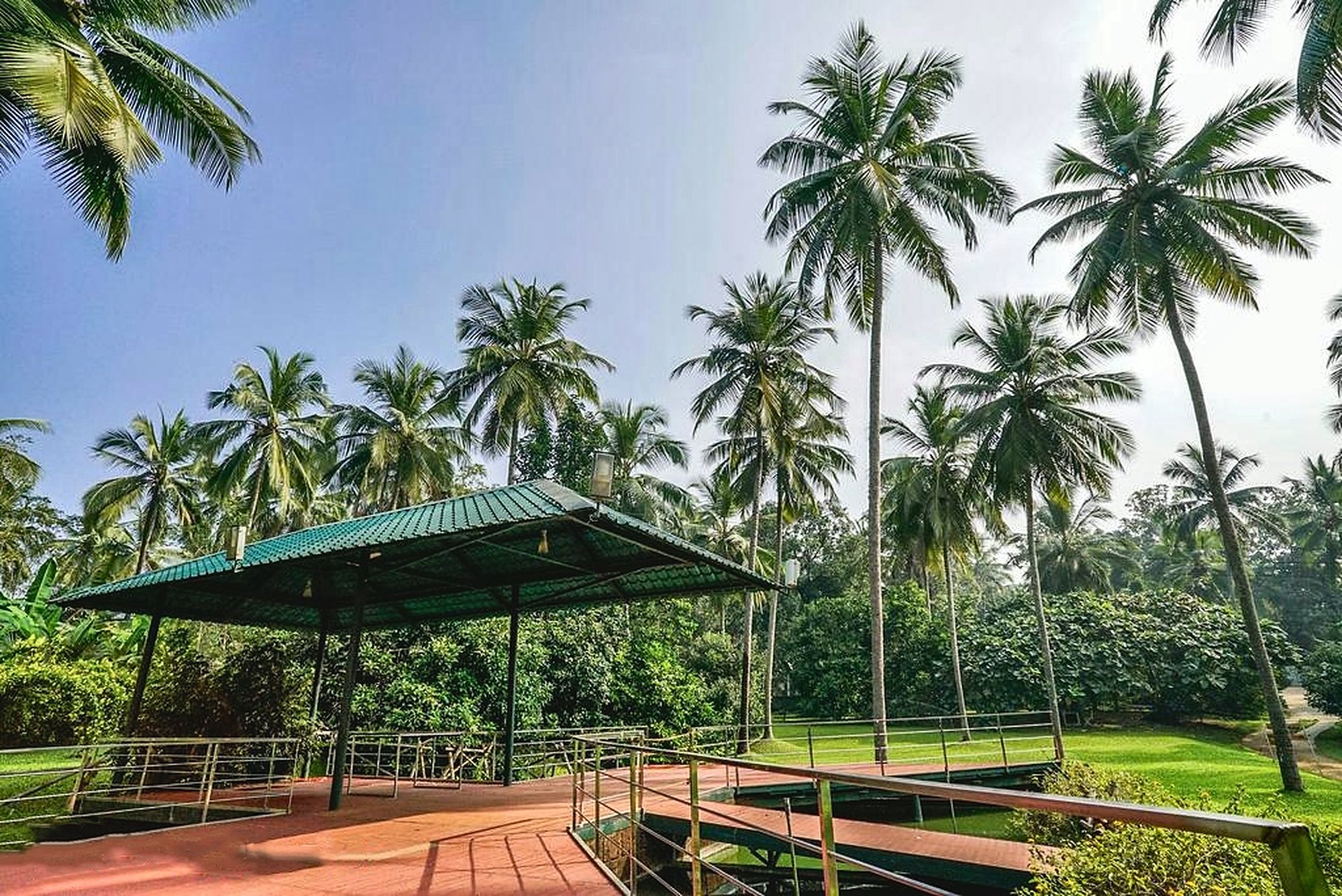 A pavilion among the coconut palms