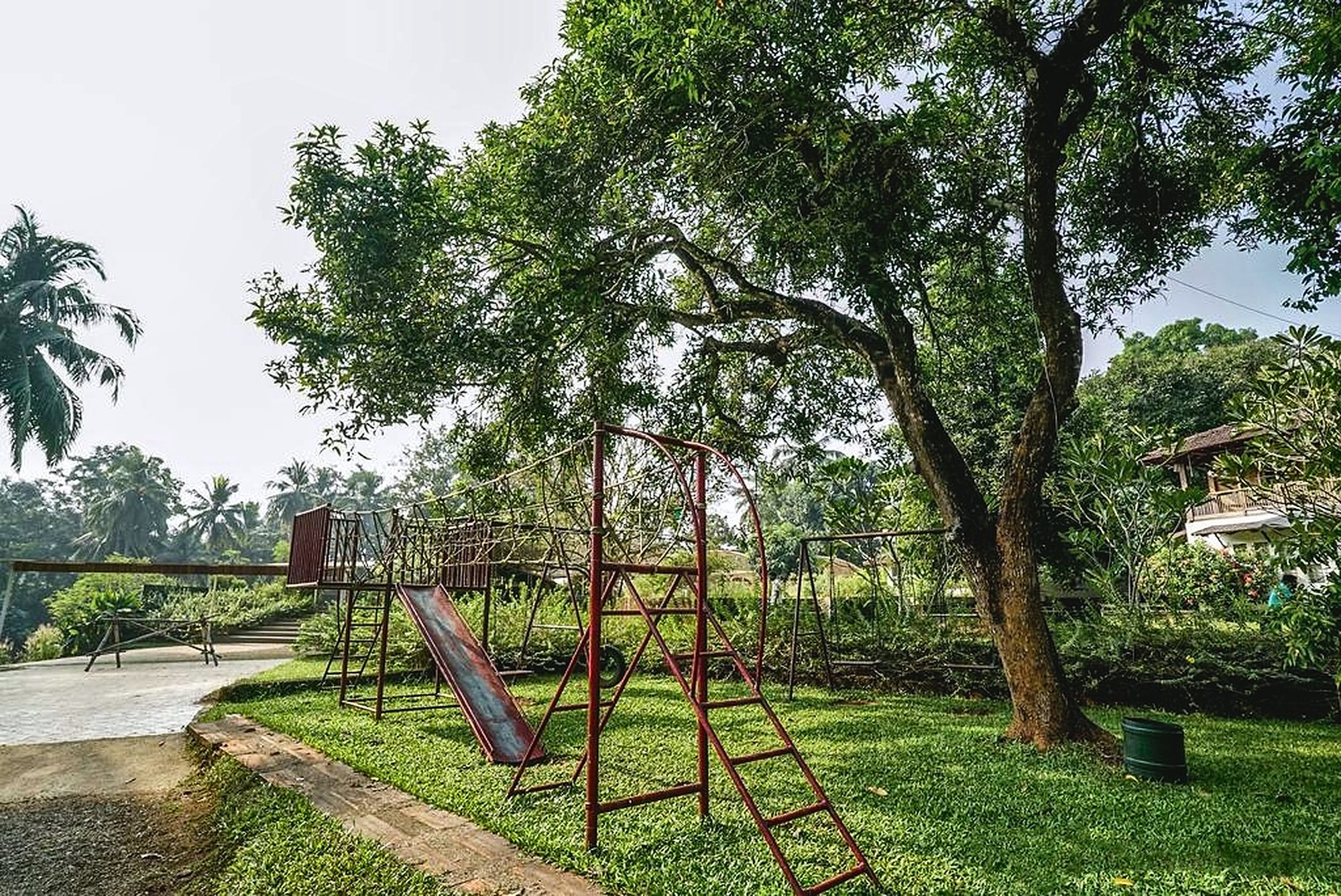 A children's play frame with swings and a slide beneath a large spreading tree
